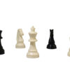 Set de Peças Plástico Gambito