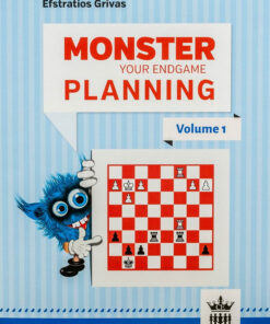 Alternative view of Monster Your Engame Planning – Volume 1